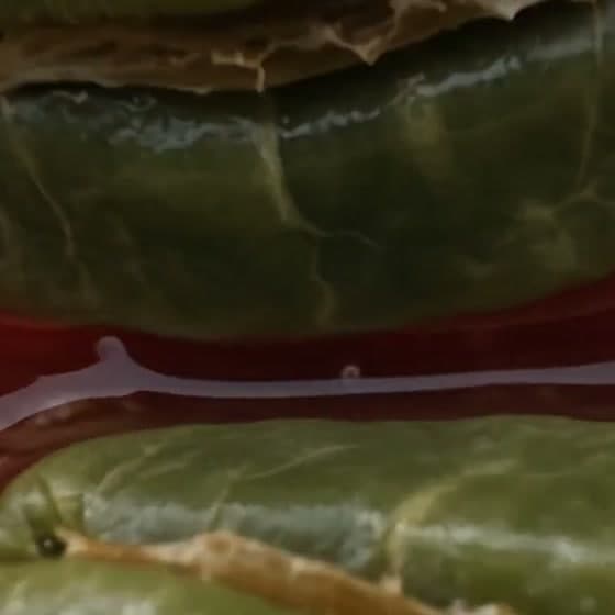 Macro view of coffee beans in wet parchment during processing